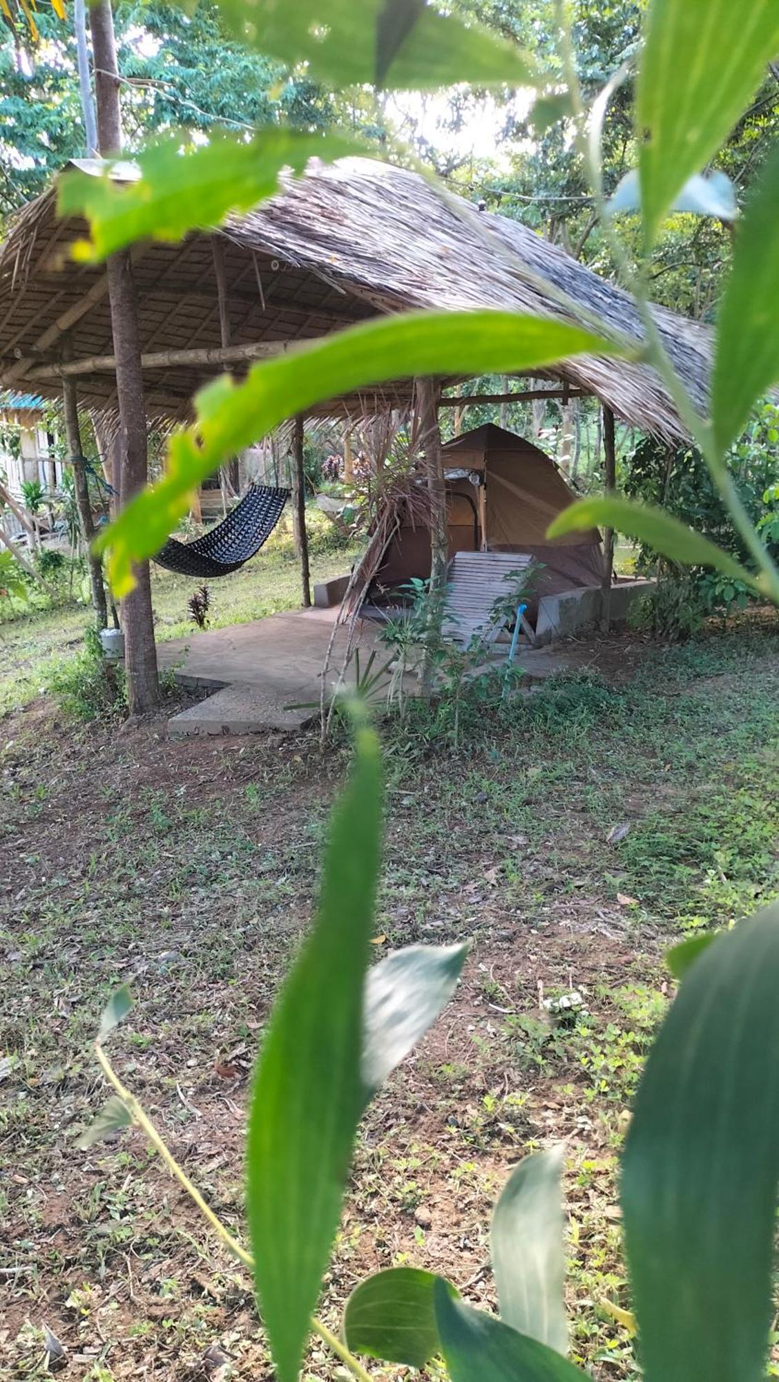 Erlittop Nature Lodge El Nido Zewnętrze zdjęcie